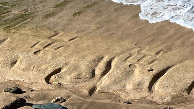 Hawaii’de 500 yıllık kaya sanatı dalgalar geri çekilince ortaya çıktı