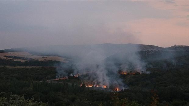 Bulgaristan'da orman yangınları sürüyor: Harmanlı'da alevlerle mücadele
