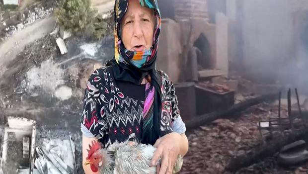 Çanakkale'deki orman yangınları kontrol altına alındı! 'Geriye 3 tavuğum kaldı, ötekiler yanmış'