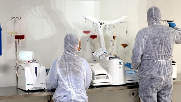 Akdeniz Universitetində CAR-T hüceyrə terapiyasının klinik sınağı başladı