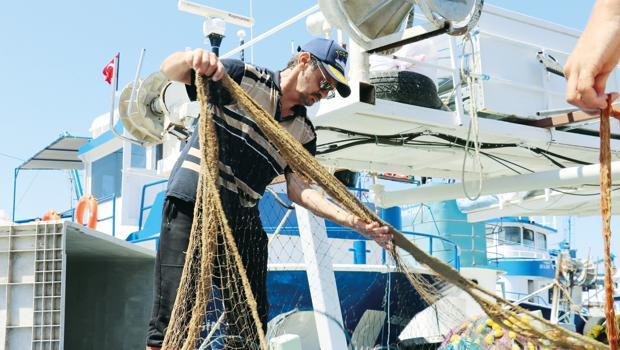 Qara Dənizdə balıq ovu yasağı başa çatdı, mövsümdən yüksək məhsul gözlənilir