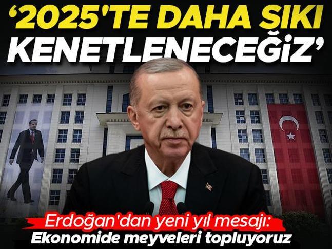 2025te daha sıkı kenetleneceğiz... Erdoğandan yeni yıl mesajı: Ekonomide meyveleri topluyoruz