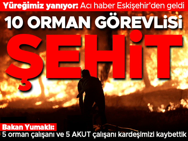 Son dakika... Eskişehirdeki orman yangınında 11 orman görevlisi şehit oldu