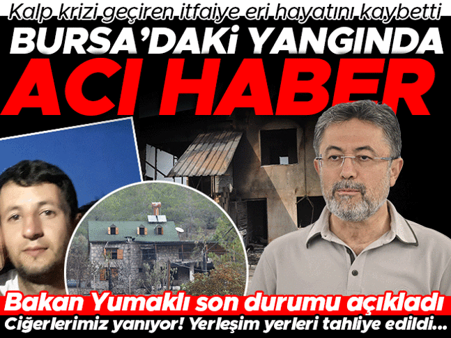 Son dakika: Bursa, Uşak, Karabük ve Kahramanmaraşta orman yangınlarında son durum