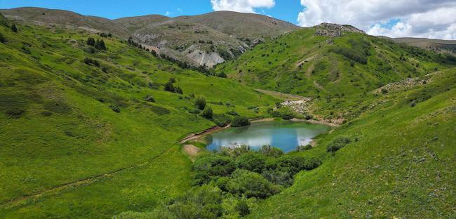 Kop: A sanctuary of biodiversity