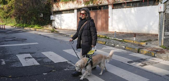 Guide dogs strengthen mobility and safety