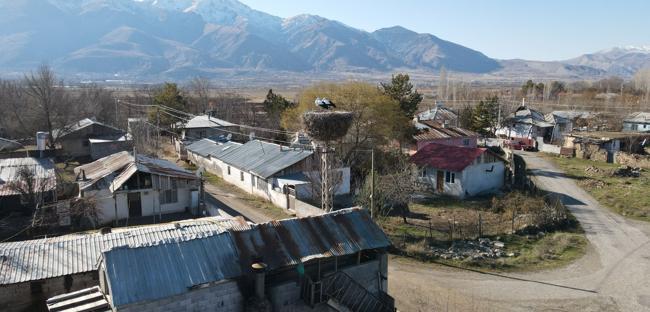 Binkoç village storks to spend winter in nests