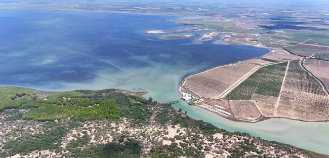 Çukurova hosts rich birdlife even in winter