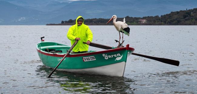 Beloved stork ‘Yaren’ returns