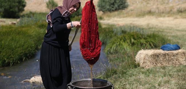 Artisan preserves root dyeing tradition