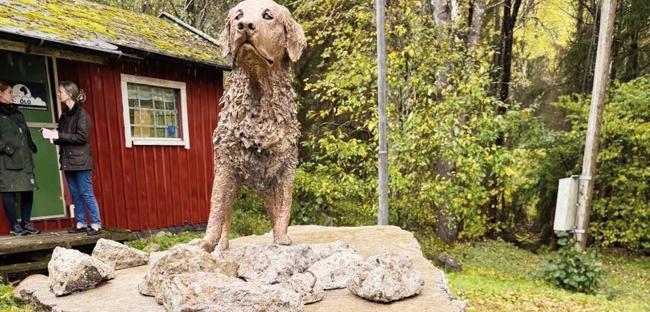 Sweden honors dog for saving lives in Türkiye