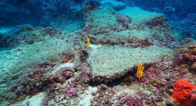 World’s oldest shipwreck found in Mediterranean, say officials