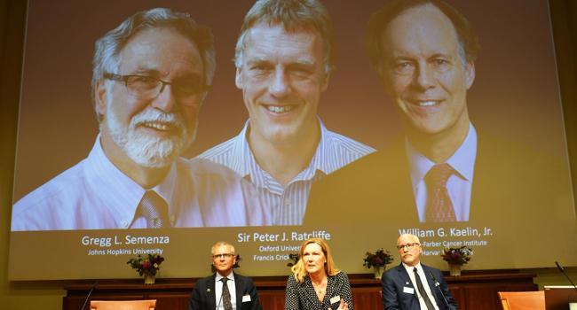 Three scientists share Nobel Medicine Prize