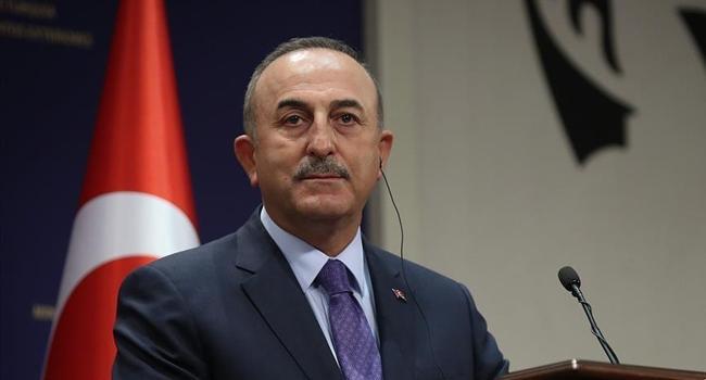 Turkish foreign minister discusses Palestine with counterparts