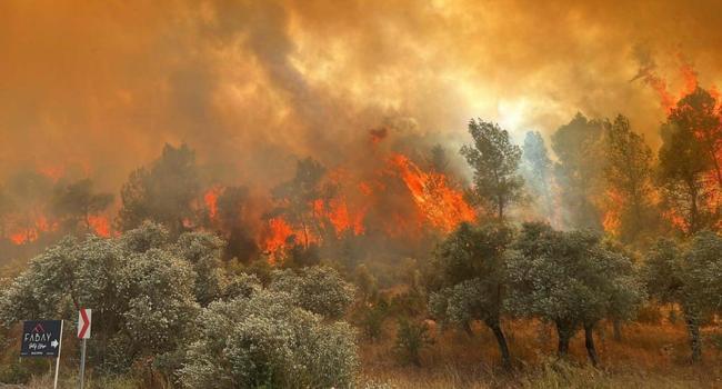 EU wildfire risk map points several areas in Türkiye extremely risky