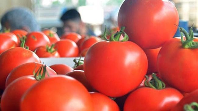 Tarım ürünlerindeki ihracat tedbirleri kalktı | Genel Haberler