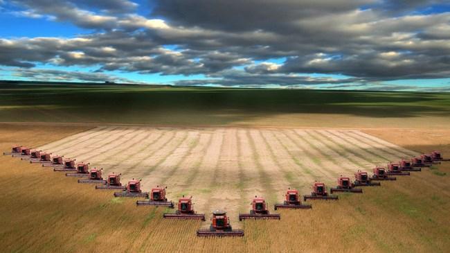 Tarım-ÜFE rakamları açıklandı | Ekonomi Haberleri