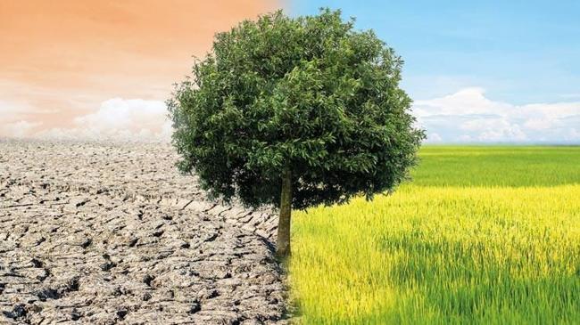 İklim değişikliğiyle mücadelede yeni dönem | Ekonomi Haberleri