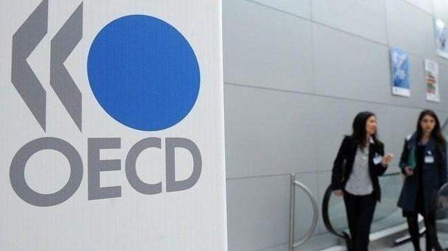 OECD, Türkiye için büyüme tahminini revize etti | Ekonomi Haberleri