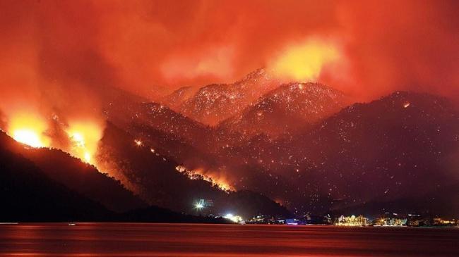İş dünyasından fidan seferberliği | Ekonomi Haberleri