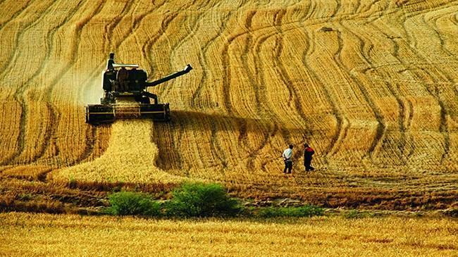 Tarımsal Girdi Fiyat Endeksi yükseldi | Ekonomi Haberleri