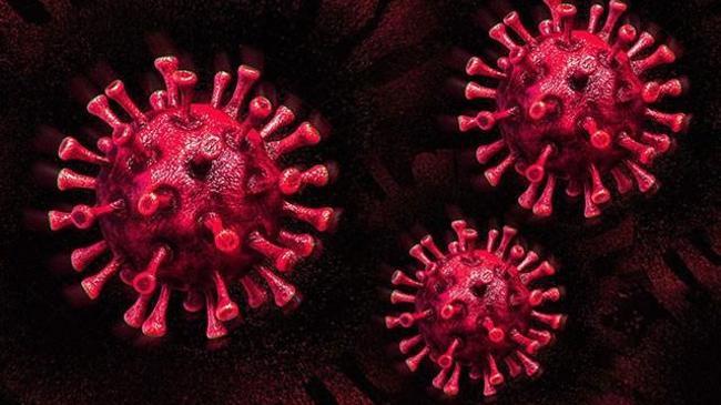 Avrupa Birliği'den Kovid-19 aşısı için yeni sözleşme | Ekonomi Haberleri