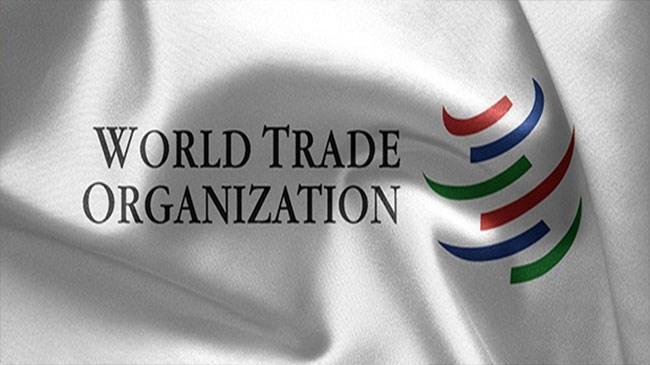 WTO ilk kadın başkanını seçmeye hazırlanıyor | Ekonomi Haberleri