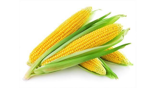 Mısır fiyatları 3.5 yılın dibini gördü | Emtia Haberleri