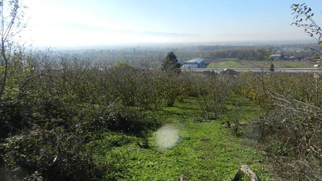 Hazine’ye ait tarım arazilerinin satışına yeni düzenleme | Ekonomi Haberleri