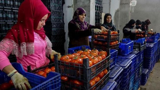 Fiyatı yükselen ürün tanzim satışa girecek | Ekonomi Haberleri