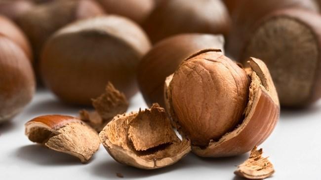 İtalyan şirketten Türkiyeye 150 milyon lira yatırım | Genel Haberler