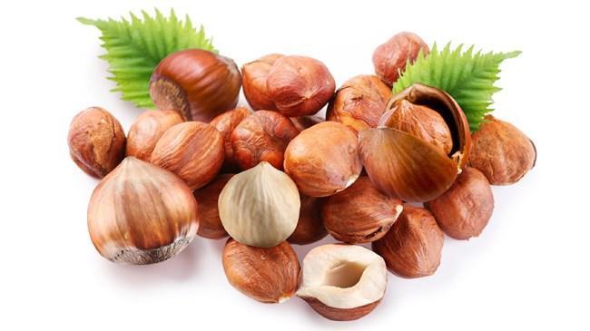 "2019'u fındıkta gençleştirme yılı ilan ettik" | Sektör Haberleri