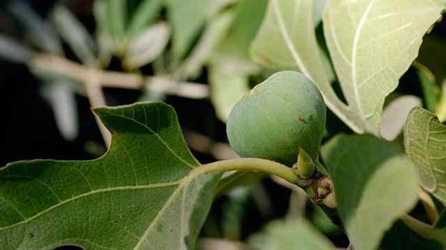 Devlet desteğiyle işletme kurdu, 3 yıl sonra ihracat yaptı | Sektör Haberleri