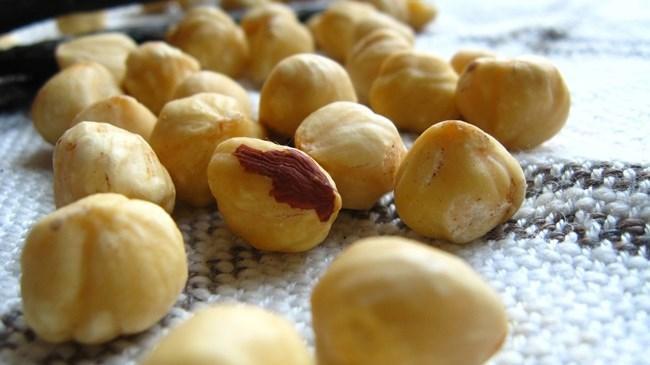 Fındık ihracatı geçen yıl 1.6 milyar dolar kazandırdı | Sektör Haberleri