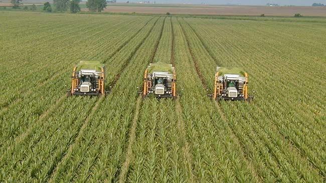 Hazineye ait 1793 taşınmaz çiftçilere kiralandı | Ekonomi Haberleri