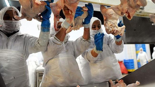 Şeker Piliç'in kesimhane ve idari binası satıldı  | Ekonomi Haberleri