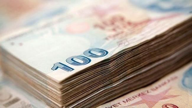 Hazine 2,4 milyar lira borçlandı | Ekonomi Haberleri