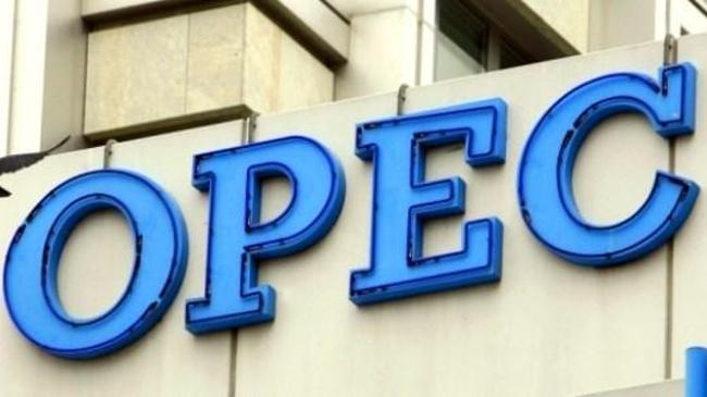 OPEC'in petrol kesintisi kararında uyum oranı arttı  | Emtia Haberleri