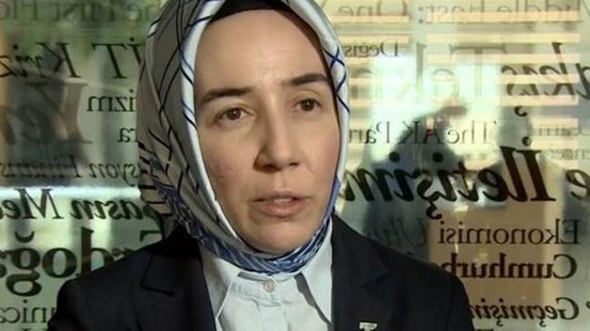 Cumhurbaşkanı Başdanışmanı: TCMB'ye siyasi baskı yok | Ekonomi Haberleri