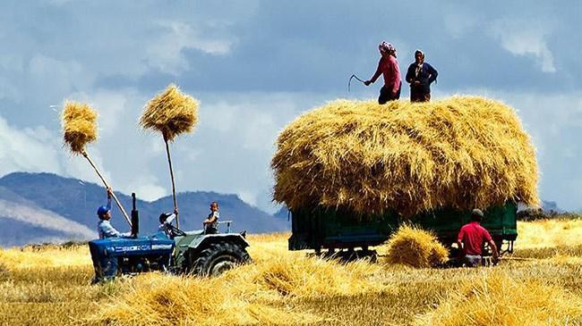 Tarımda 82 milyar TL kredi kullandırıldı | Şirket Haberleri