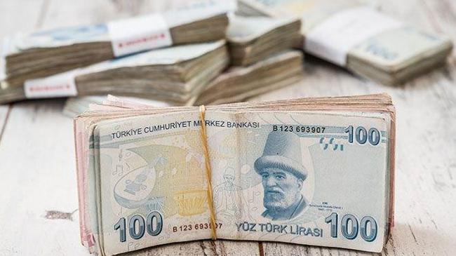 Hazine 8,2 milyar lira borçlandı  | Ekonomi Haberleri