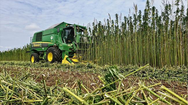 2001'den bu yana ilk tarım sayımı yapılacak  | Ekonomi Haberleri