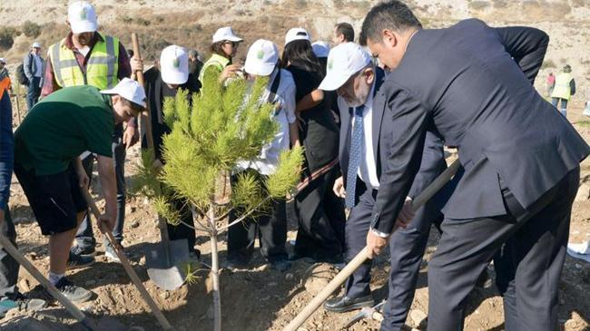 Milas’taki maden sahası yeniden orman olacak | Ekonomi Haberleri