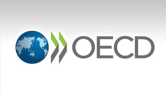 OECD'den Türkiye tahmini | Ekonomi Haberleri