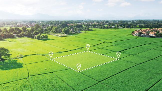 5 soruda imar hakkı aktarımı | Ekonomi Haberleri