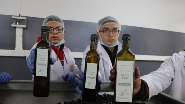 Şarköylü öğrenciler zeytinyağı üretiyor... Patent başvurusu yaptılar | Genel Haberler