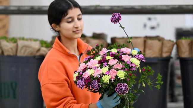 80 ülkeye 141 milyon dolarlık çiçek ihracatı | Ekonomi Haberleri