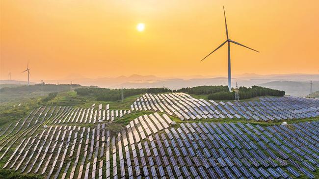 Gözler rüzgâr ve güneş ihalelerinde | Ekonomi Haberleri