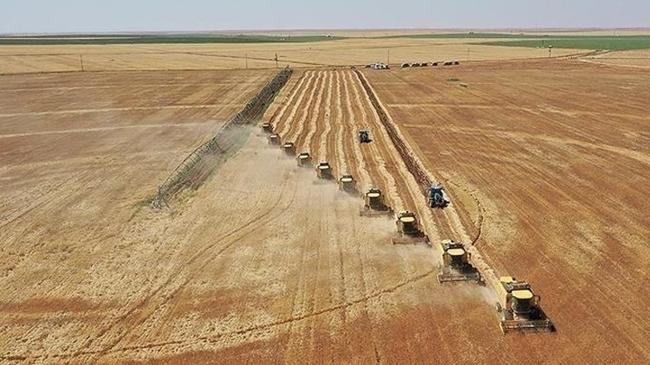 Çiftçilere 985 milyon 870 bin lira tarımsal destekleme ödemesi | Ekonomi Haberleri