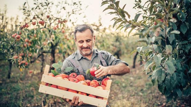 Çiftçiye 2.2 milyar lira destek | Ekonomi Haberleri